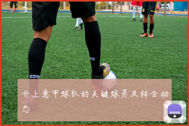 升上意甲球队的关键球员及转会动态