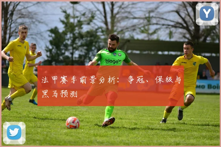 法甲赛季前景分析：争冠、保级与黑马预测