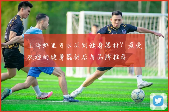 上海哪里可以买到健身器材?最受欢迎的健身器材店与品牌推荐