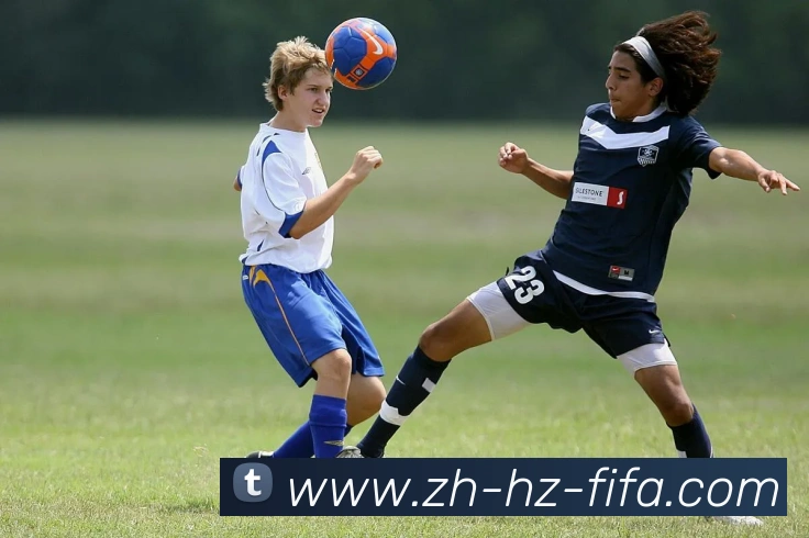 世界杯赛程服务体系