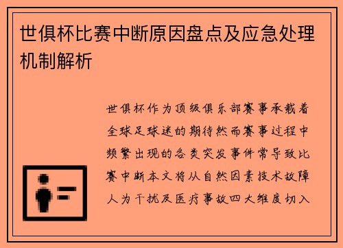 世俱杯比赛中断原因盘点及应急处理机制解析